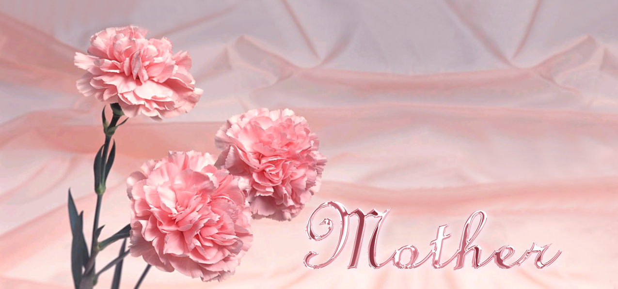 Pink Carnations Mother